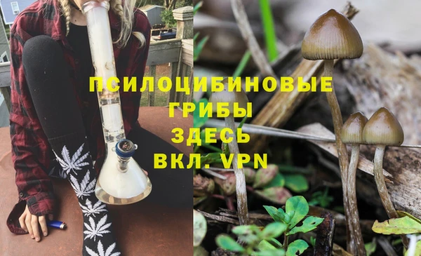 меф Армянск
