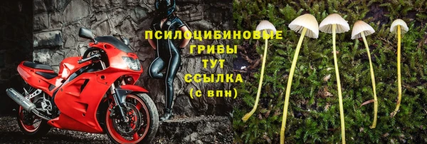 первитин Арсеньев