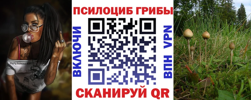 Галлюциногенные грибы Psilocybine cubensis  купить закладку  Суздаль 